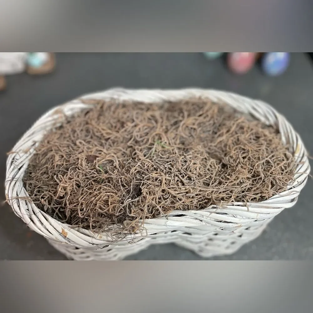 12” Basket! White, Infinity Shape No Handle Prefilled with Moss EPC